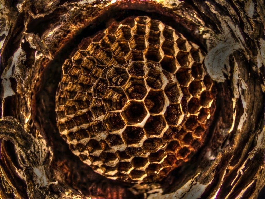 Egregore